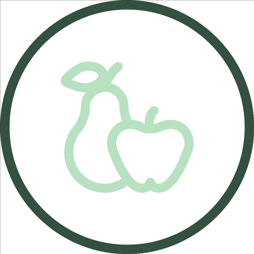 AM-Snack-Icon-Edited-1-1